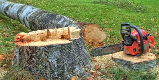 Best Firewood Processing and Delivery  in Suncrest, WA